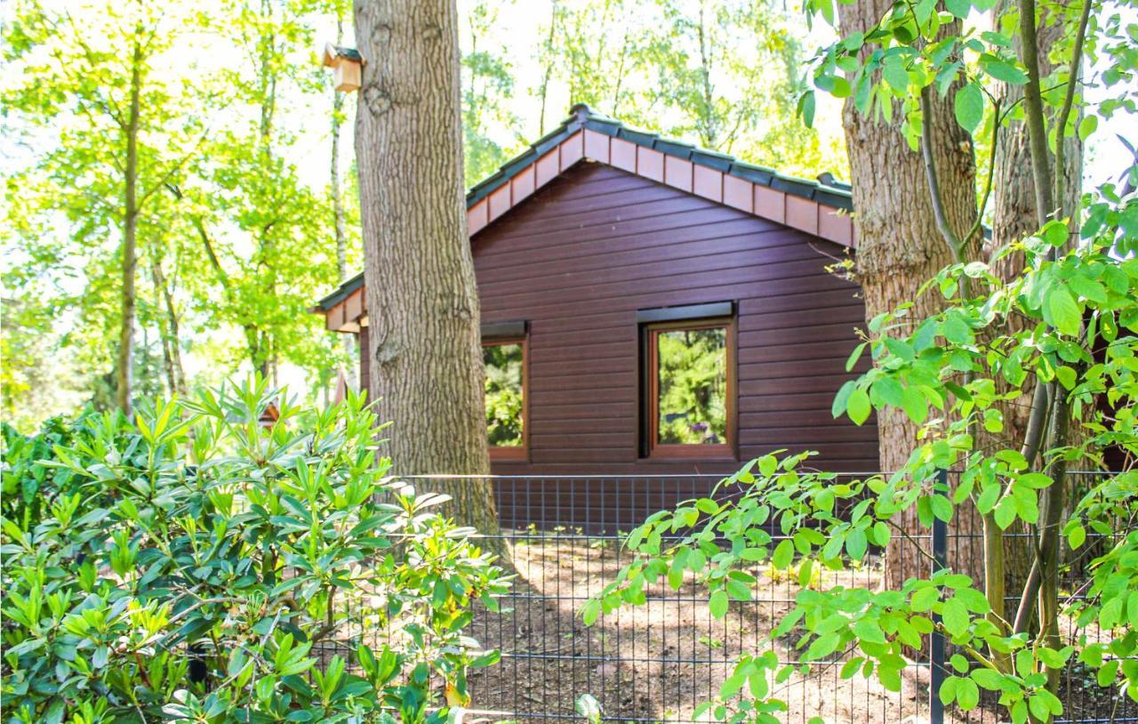 Pet Friendly Home In Haren With Sauna Dankern Exteriér fotografie