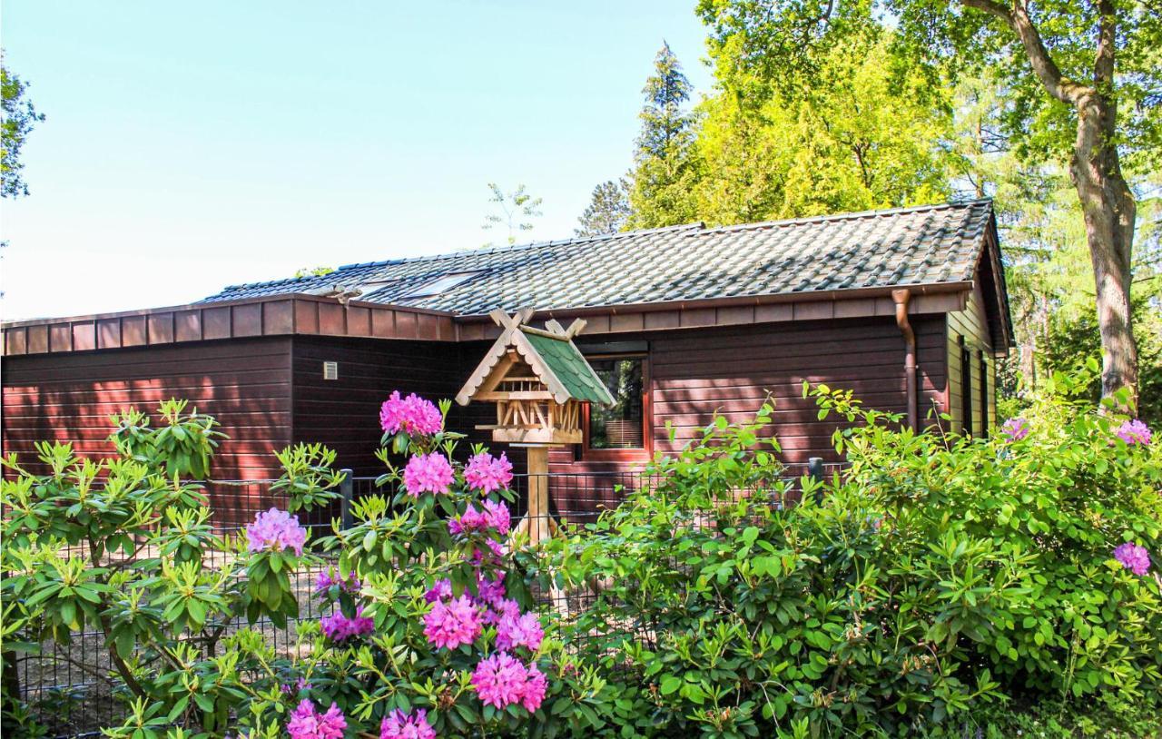 Pet Friendly Home In Haren With Sauna Dankern Exteriér fotografie